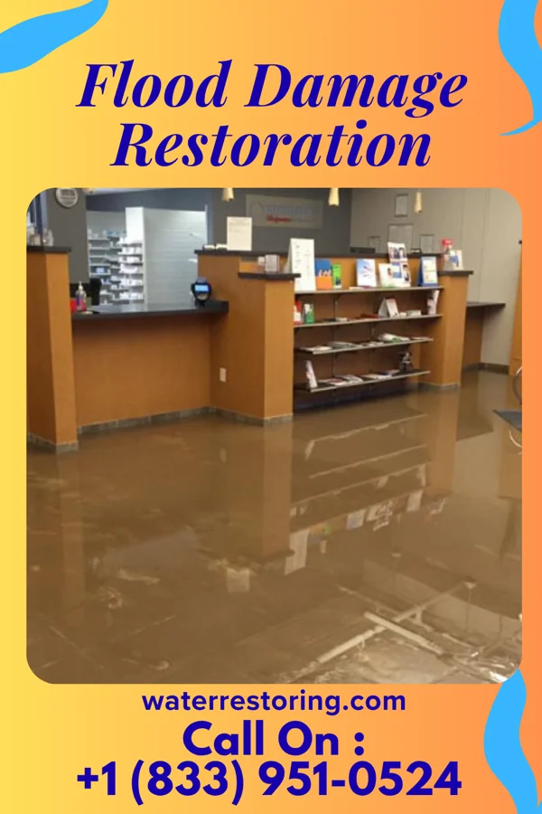 Flood Damage Restoration in Westville, IL